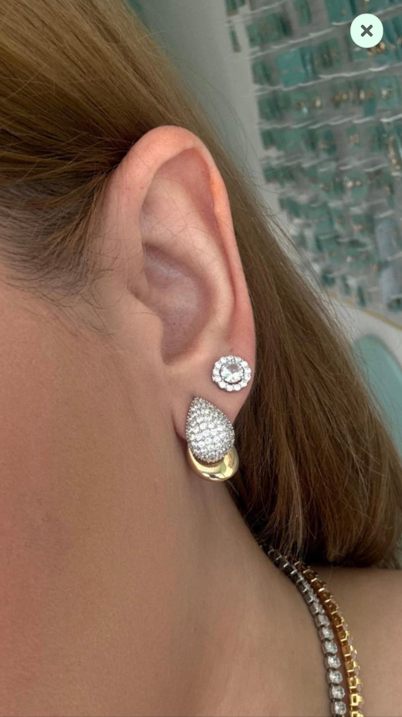 Bicolor Encrusted Earrings