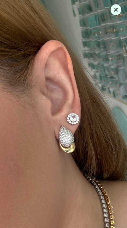 Bicolor Encrusted Earrings